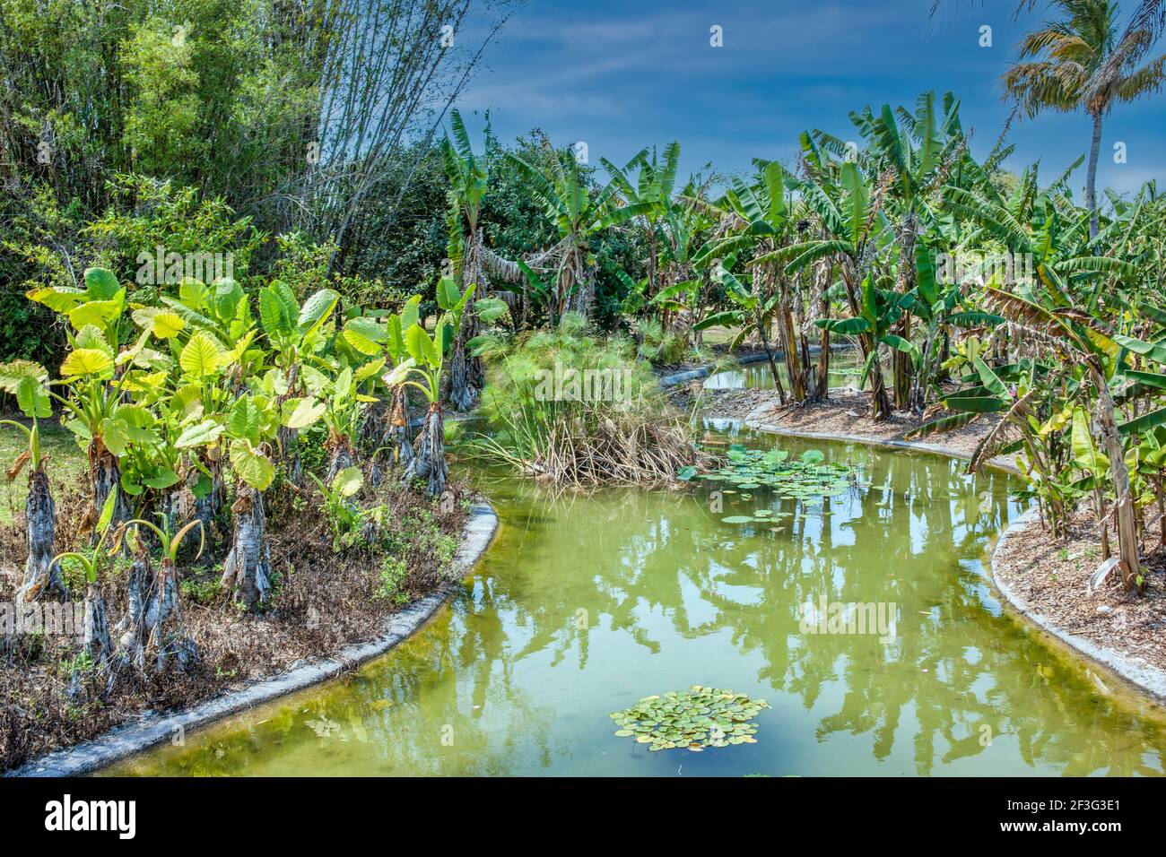 The moat around the Asian section of the MiamiDade County Redland Fruit and Spice Park in