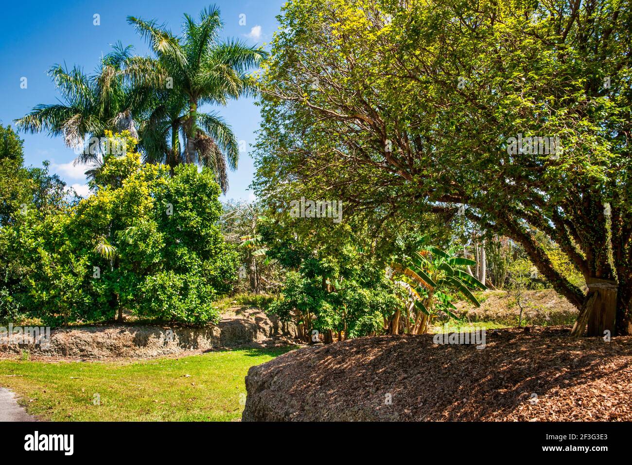 The tropical landscape of the Miami-Dade County Redland Fruit and Spice Park in Florida. Stock Photo