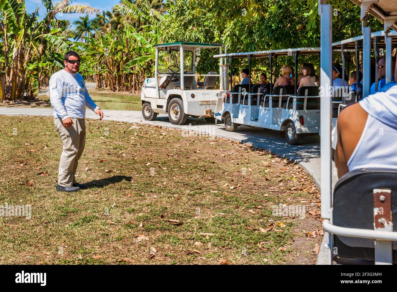 A tram tour at the MiamiDade County Redland Fruit and Spice Park in Florida Stock Photo Alamy