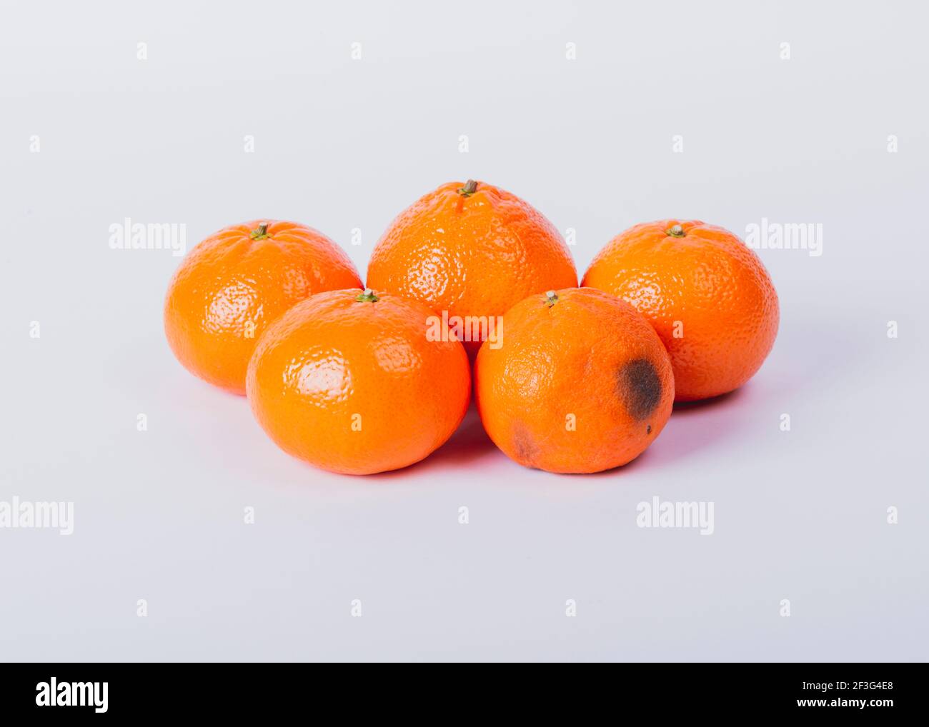 rotten orange Stock Photo