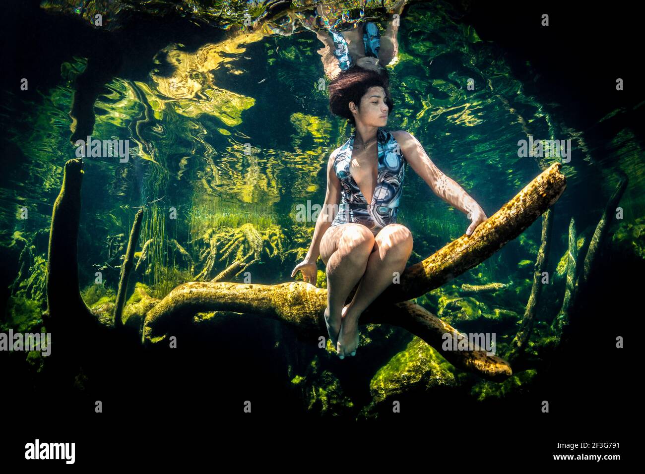 Beautiful Model sitting on log underwater in Cenote Jardin Del Eden, Yucatan Peninsula, Mexico Stock Photo