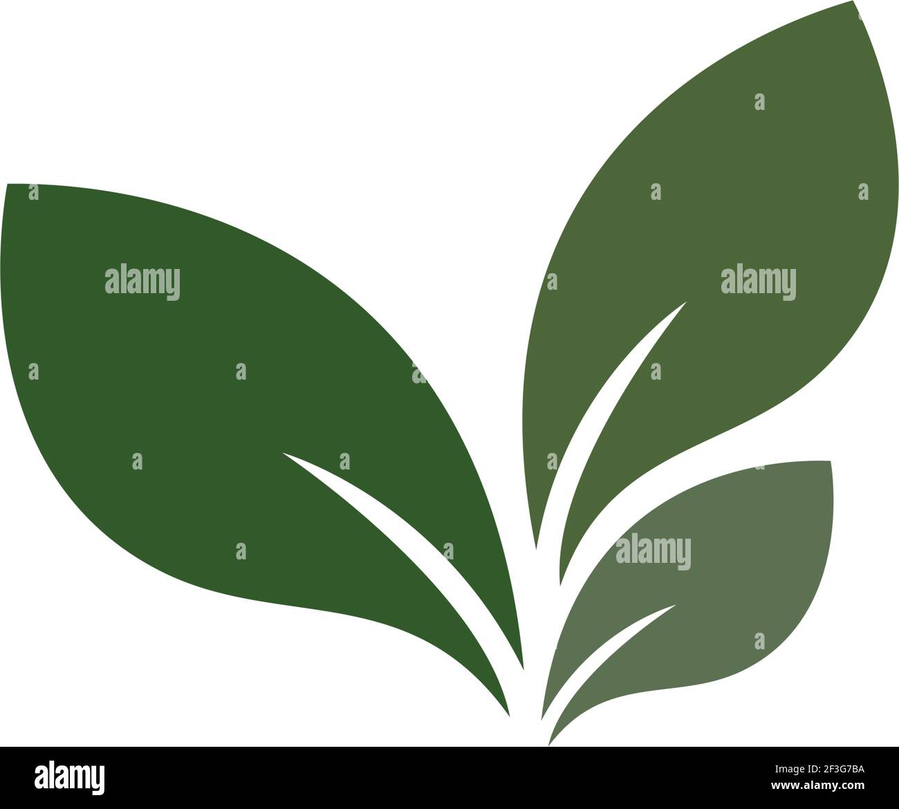 Logos of green leaf ecology nature element vector icon Stock Vector ...