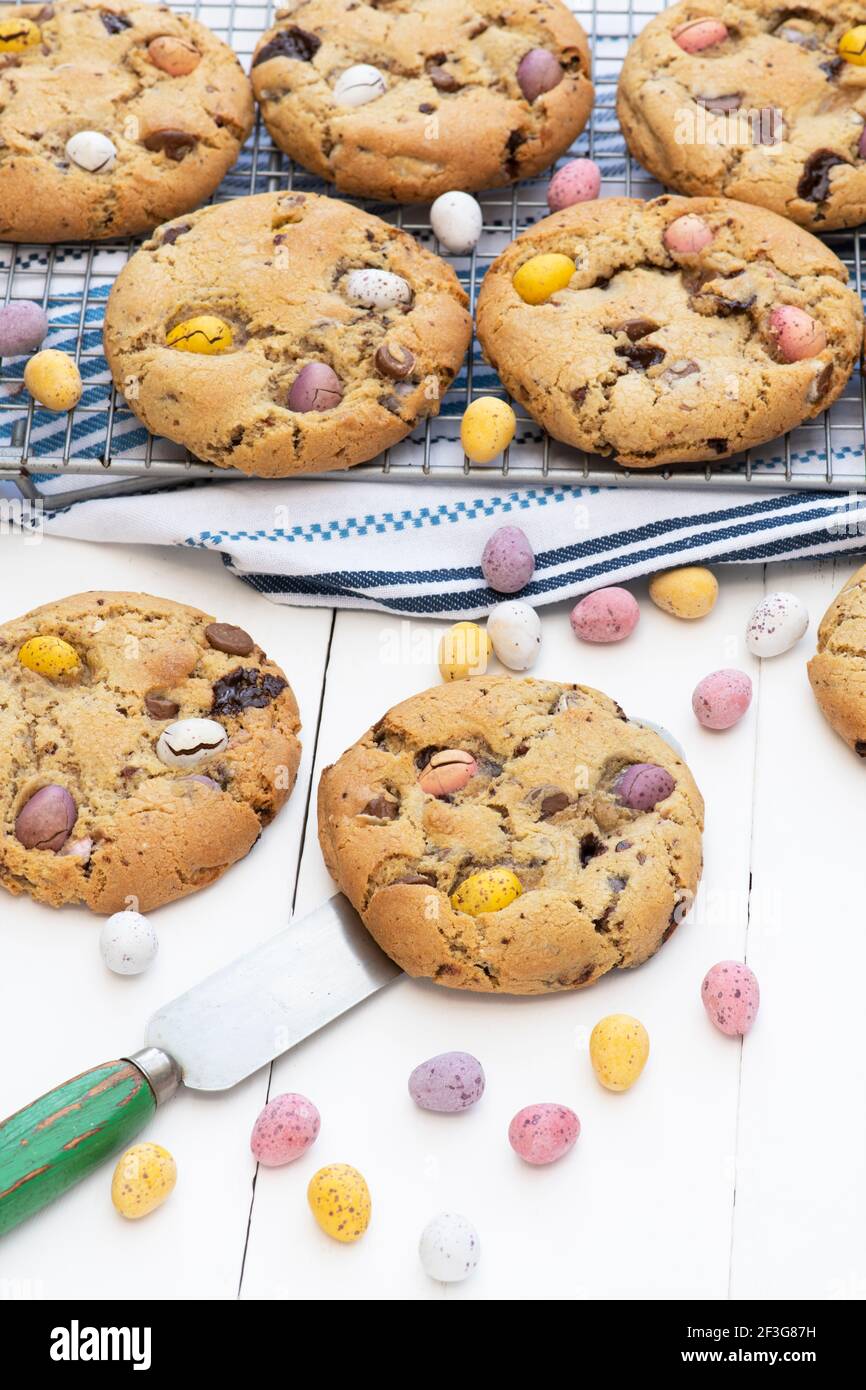 Homemade chocolate mini egg cookies Stock Photo
