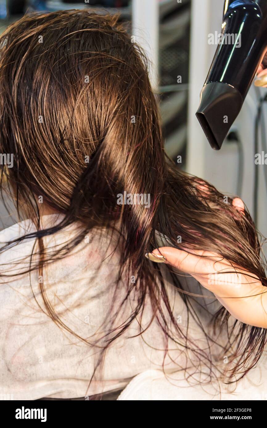Hair drying a hair dryer hi-res stock photography and images - Alamy
