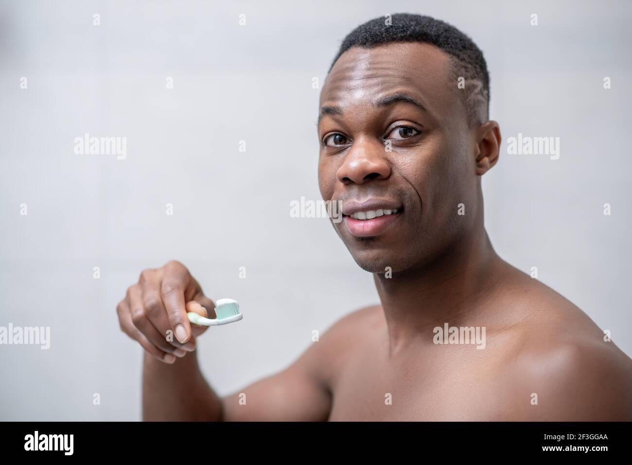 Short Haired Brush High Resolution Stock Photography and Images - Alamy