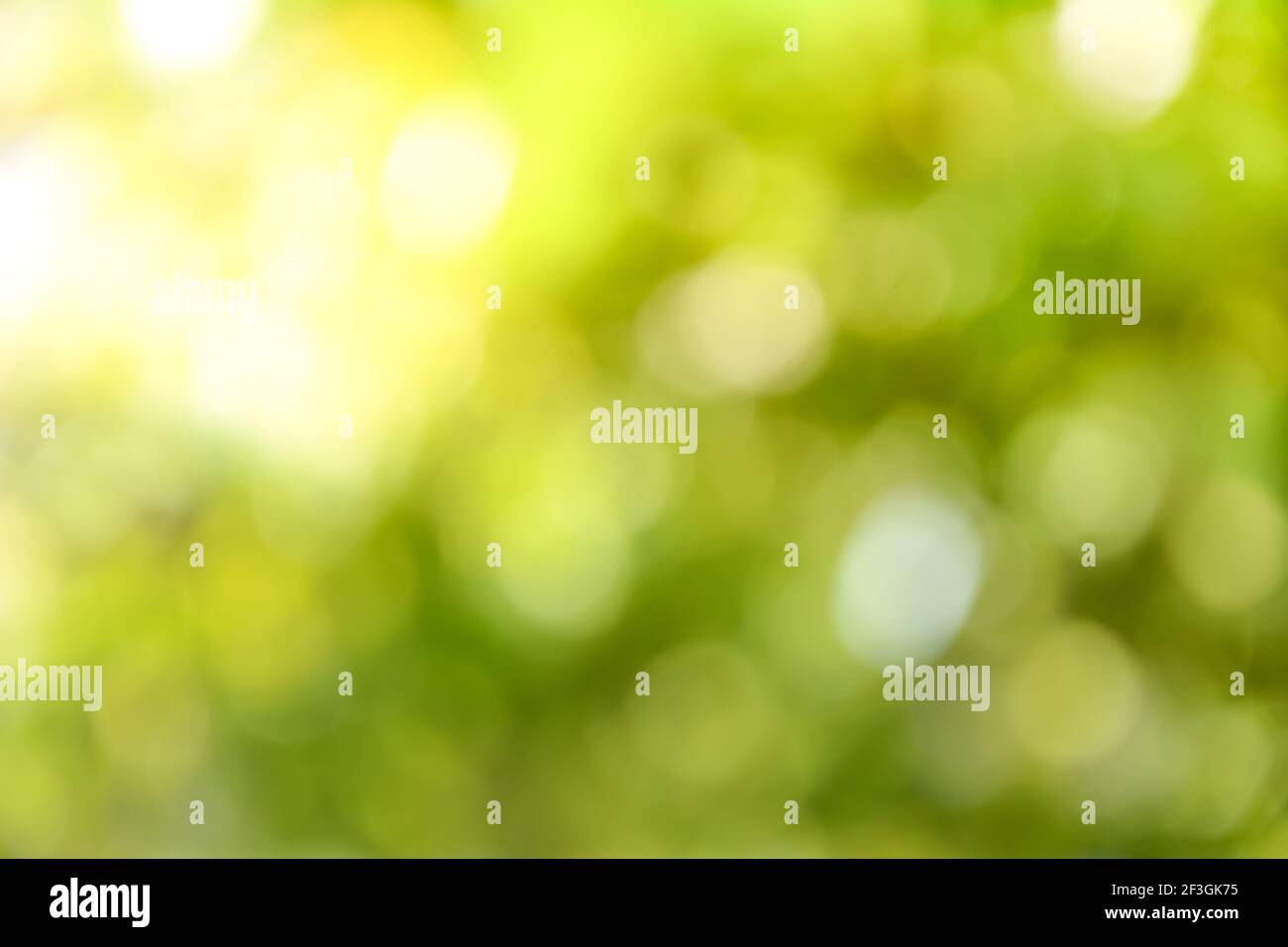 Green yellow background hi-res stock photography and images - Alamy