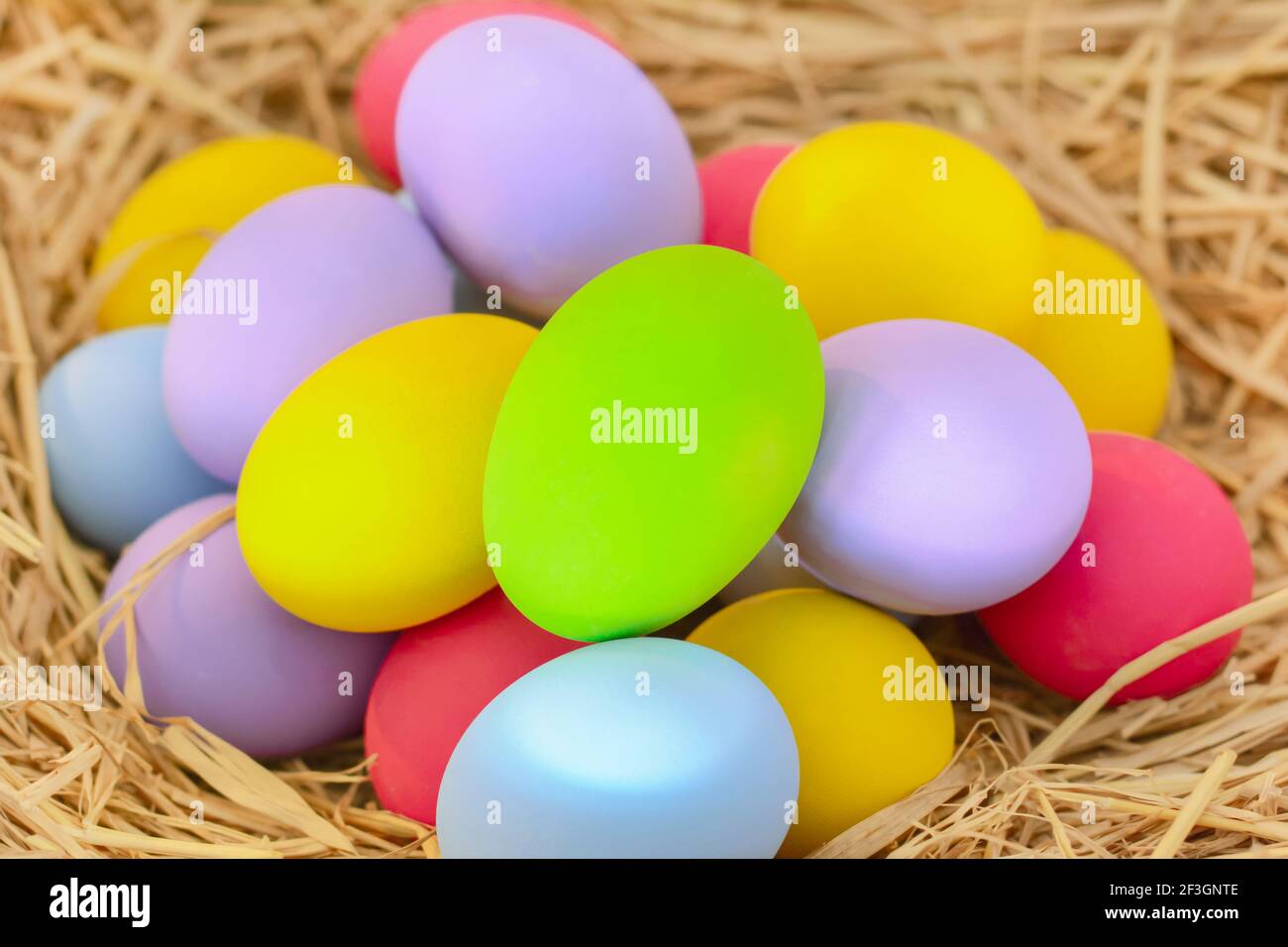 Colorful eggs in the nest - Easter concept Stock Photo - Alamy