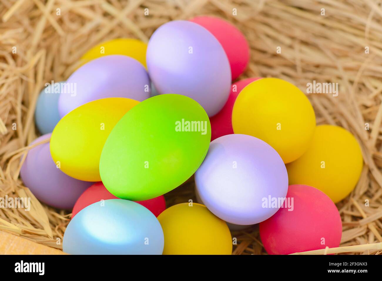 Colorful eggs in the nest - Easter concept Stock Photo