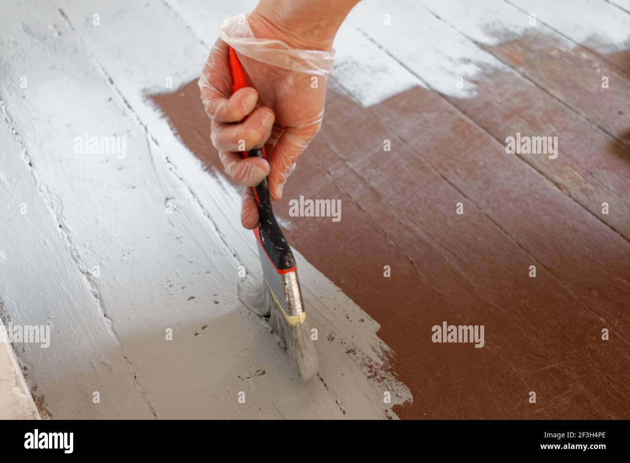 A female painting the floorboards of her newly acquired studio Stock Photo