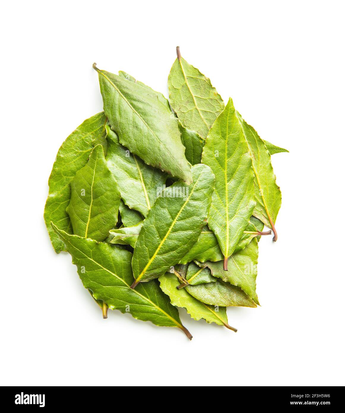 Fresh green bay leaves isolated on white background Stock Photo Alamy