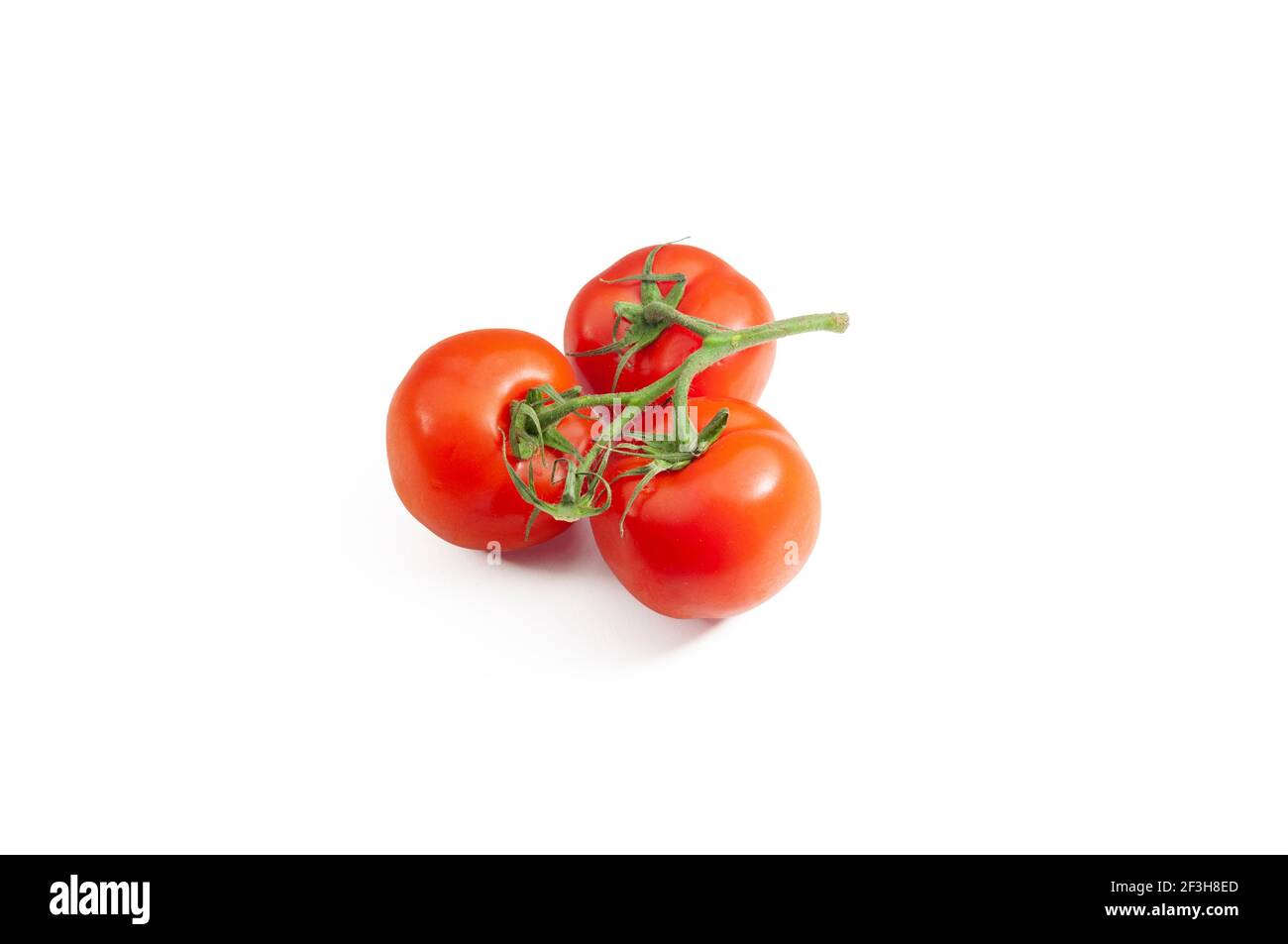 Three ripe tomatoes on the vine isolated on a white background Stock ...