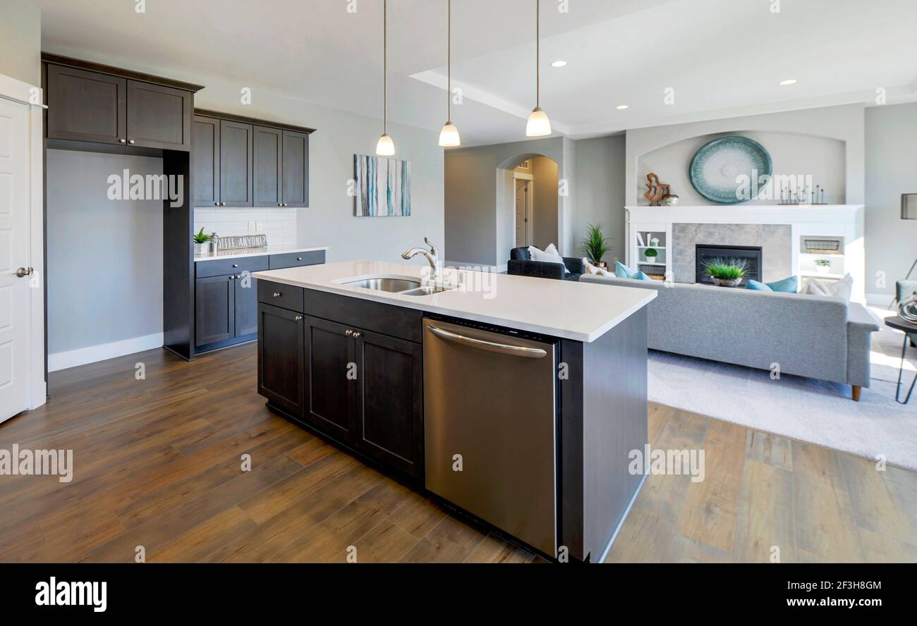 Modern residential kitchen and living room interior Stock Photo - Alamy