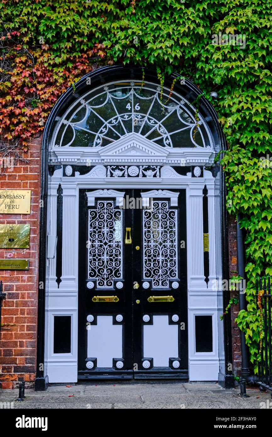 Republic of Ireland; Dublin, painted door at merrion square