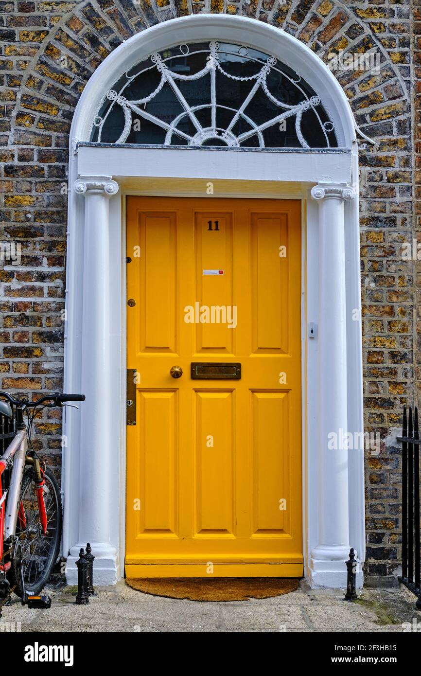 Republic of Ireland; Dublin, painted door at merrion square