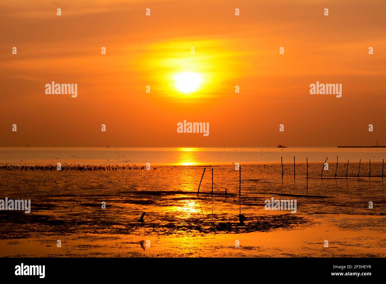 Beautiful sunset at the wetland seacoast Stock Photo