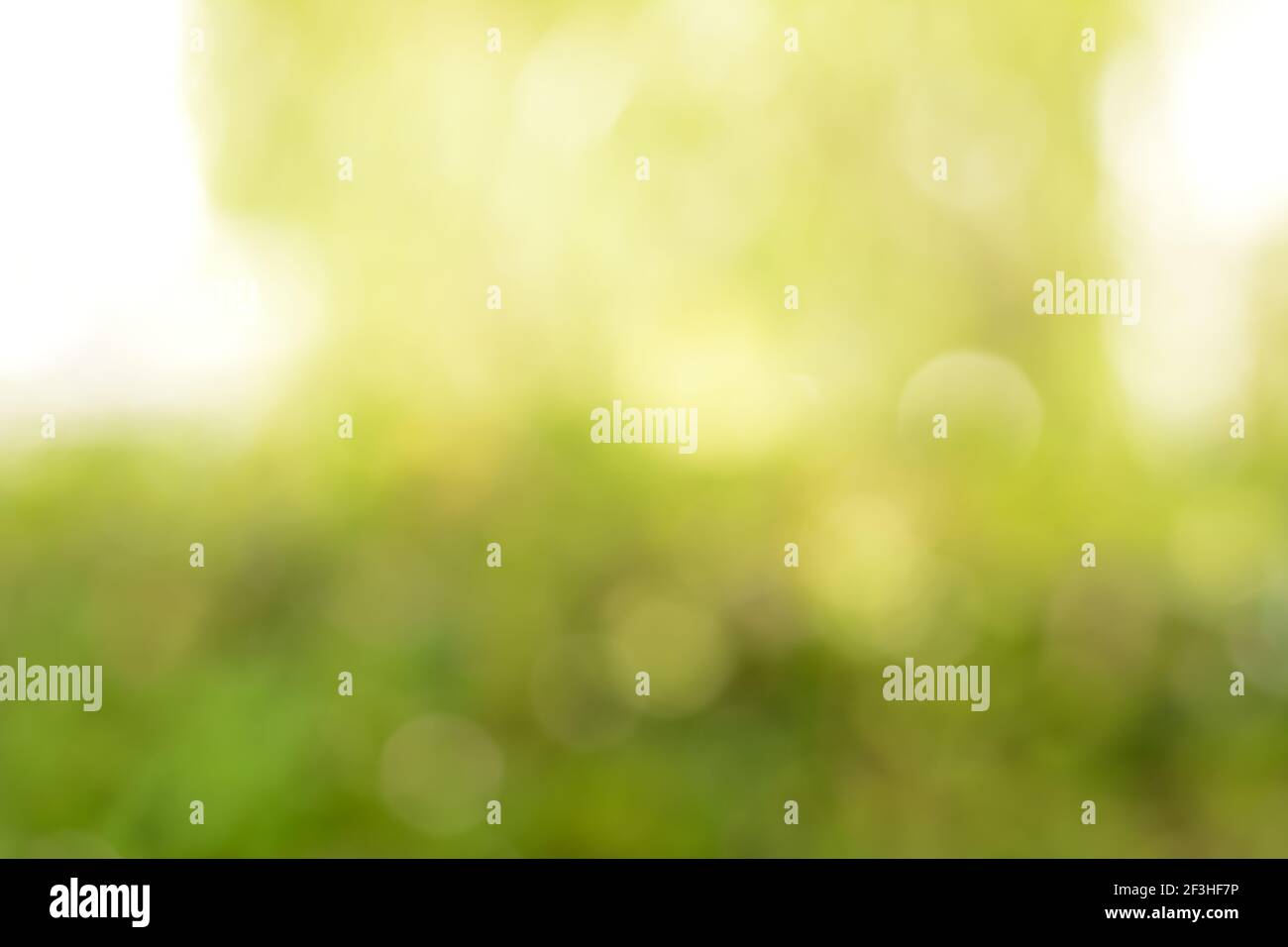 Abstract blurry yellow & green background with lens flare or bokeh effect Stock Photo