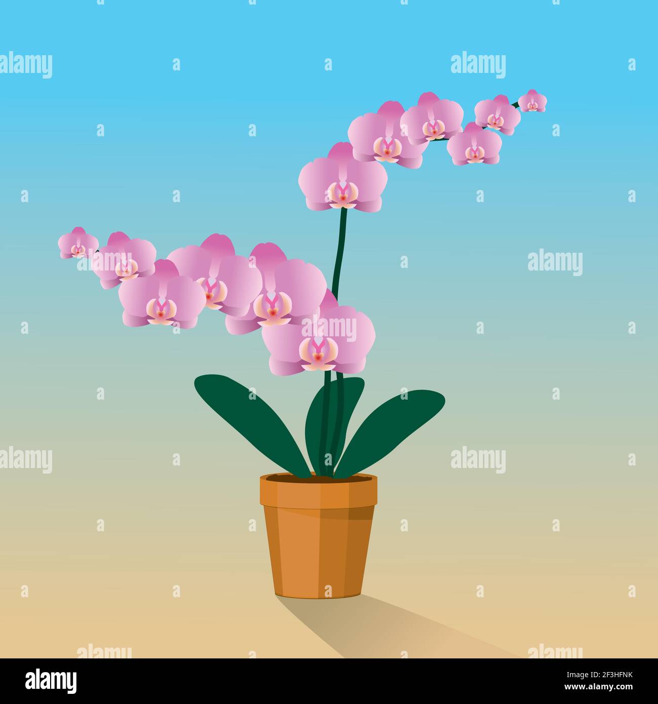 A pink Orchidaceae plant in a terracotta pot Stock Vector