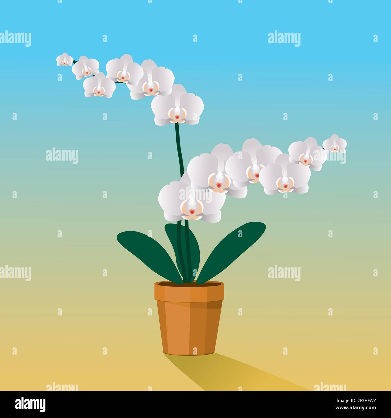 A white Orchidaceae plant in a terracotta pot Stock Vector