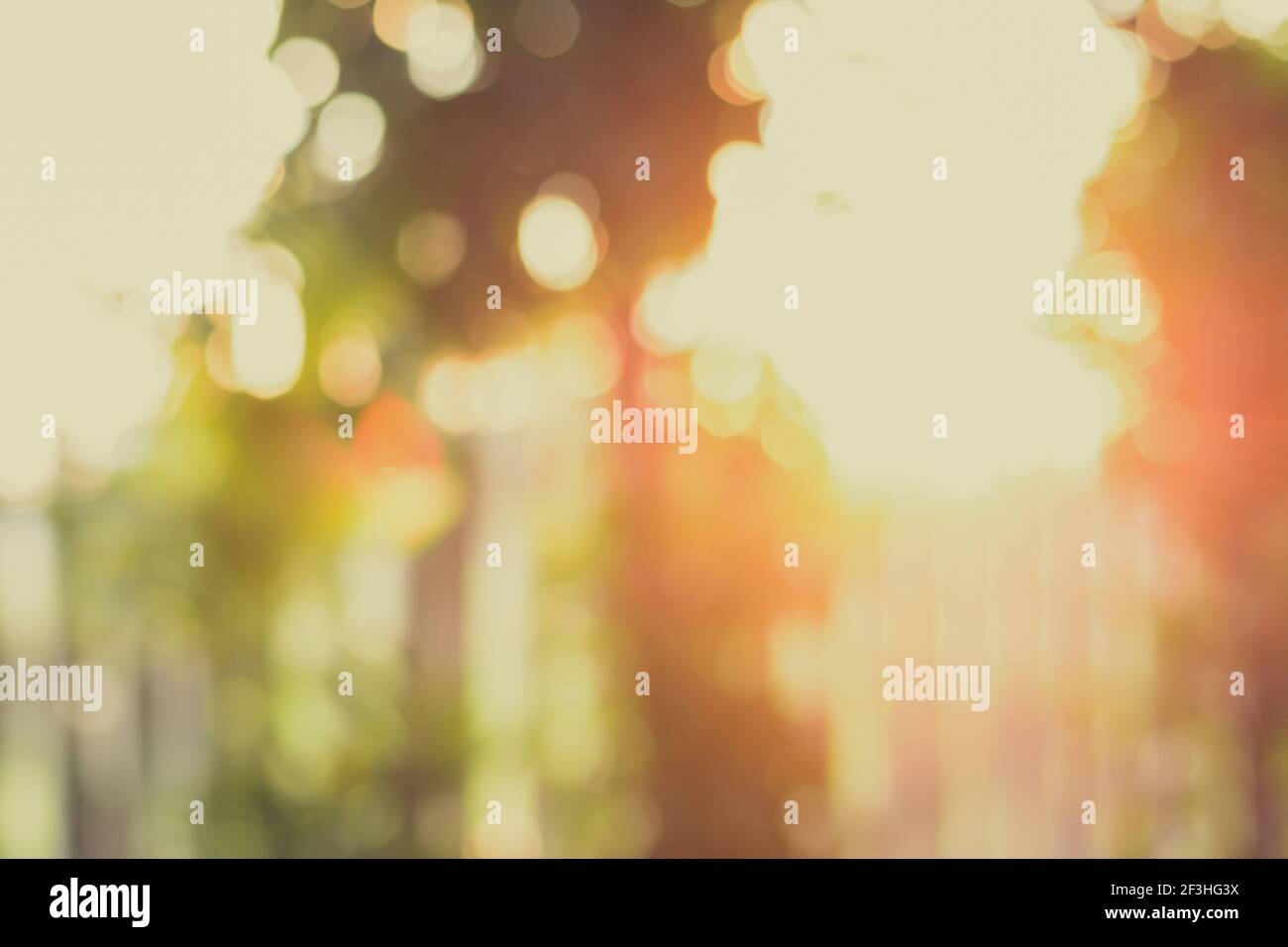 Blurred bokeh background from sunlight shining through the trees - vintage style color effect Stock Photo
