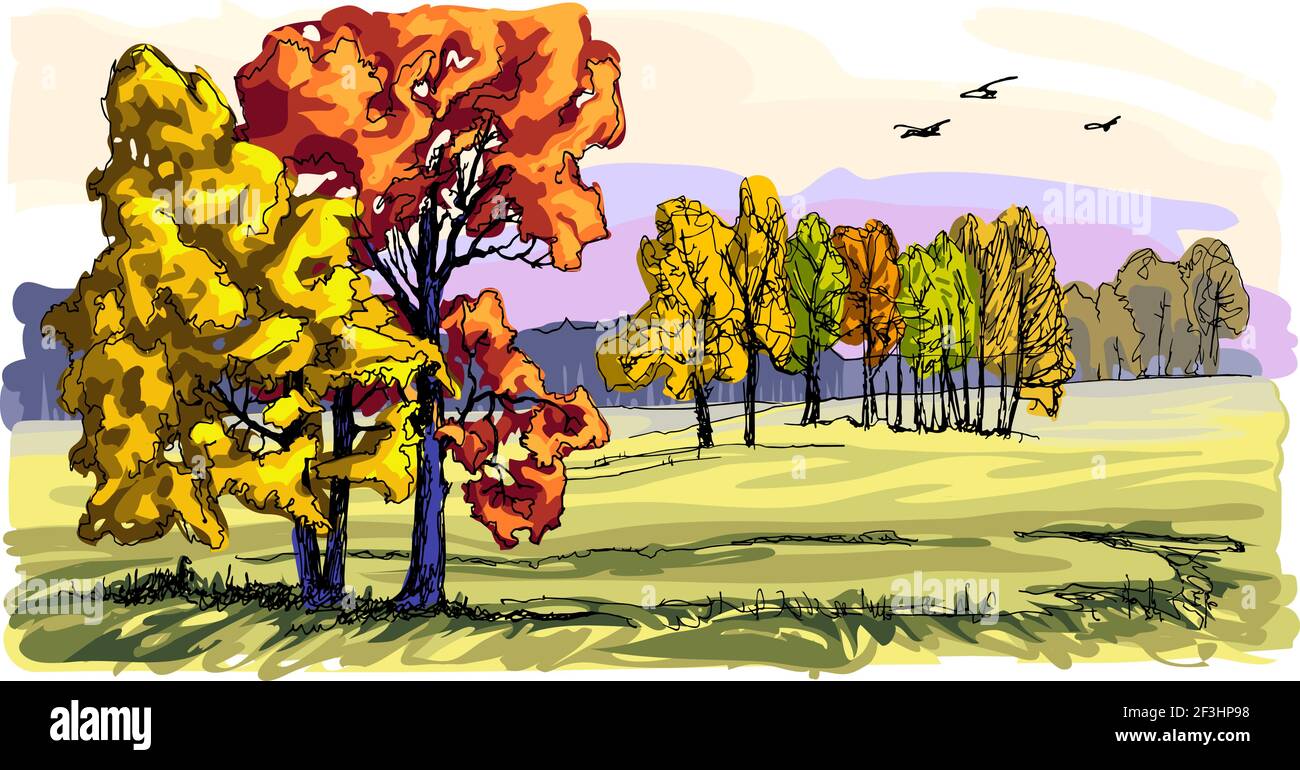 Autumn landscape with a field and a group of trees. One of the four paintings of the seasons. The leaves of the trees and the grass turned yellow. Stock Vector