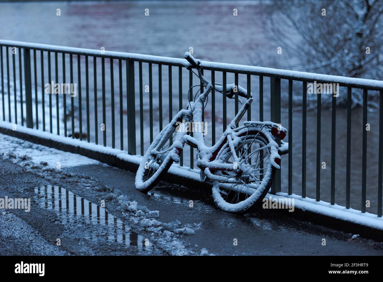 bicycle without saddle