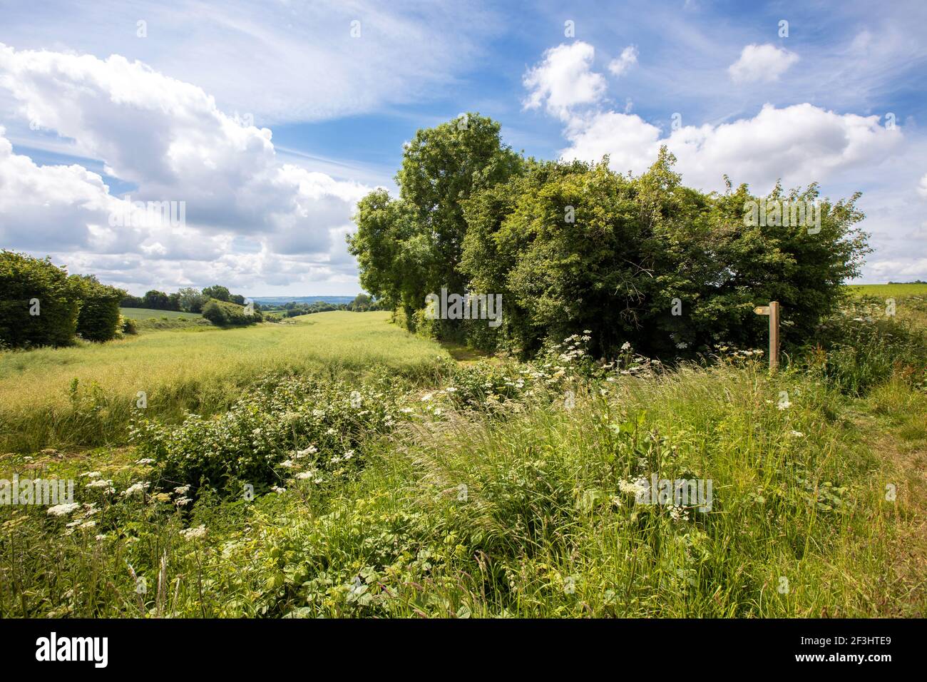 Public foot path between Odcombe and East chinnock Stock Photo
