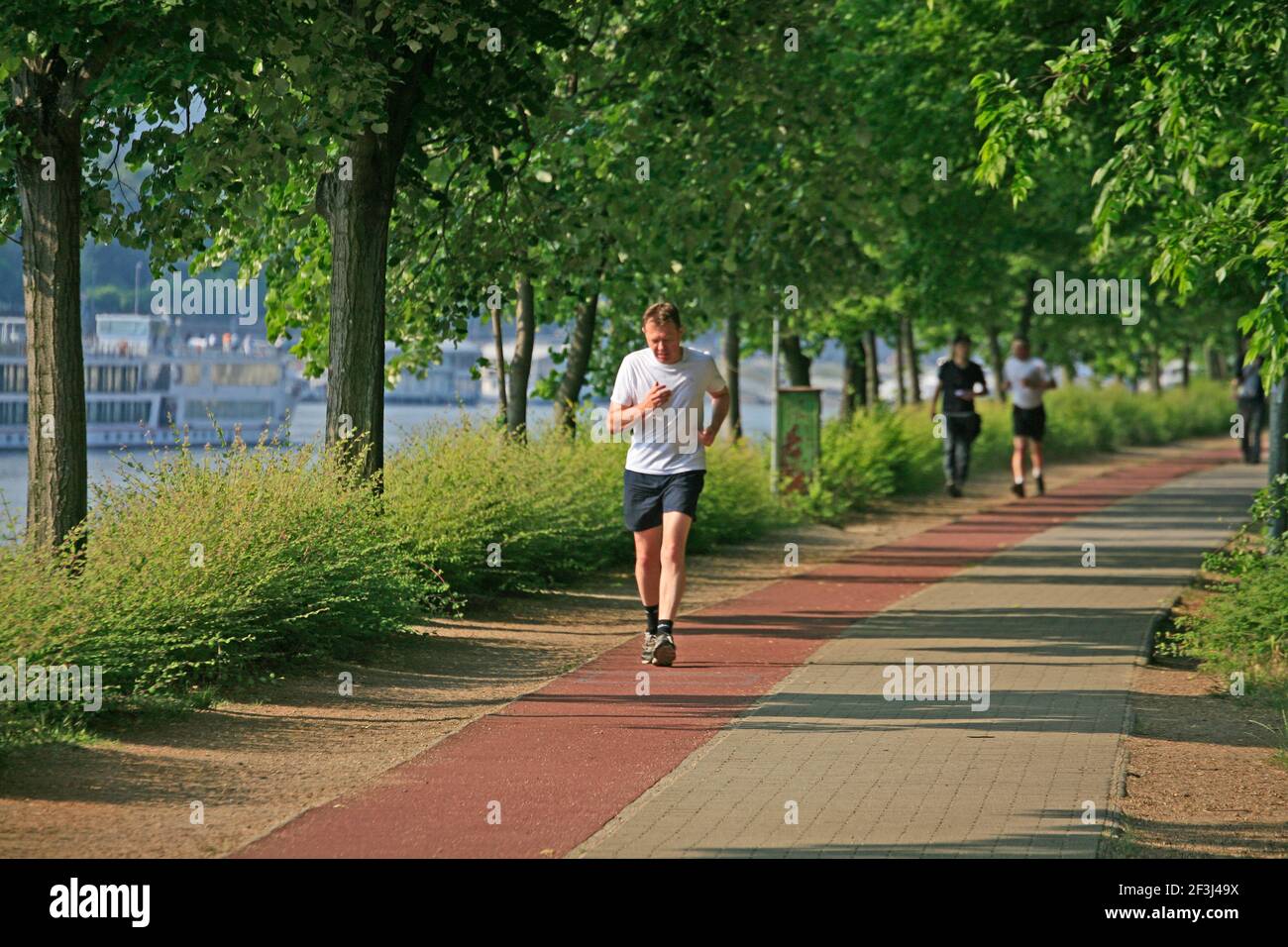 Margit Island High Resolution Stock Photography and Images - Alamy