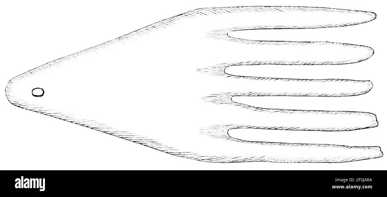 Comb made of bone 1 Stock Photo Alamy