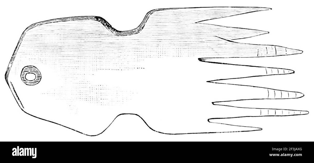 Comb made of bone 2 Stock Photo Alamy