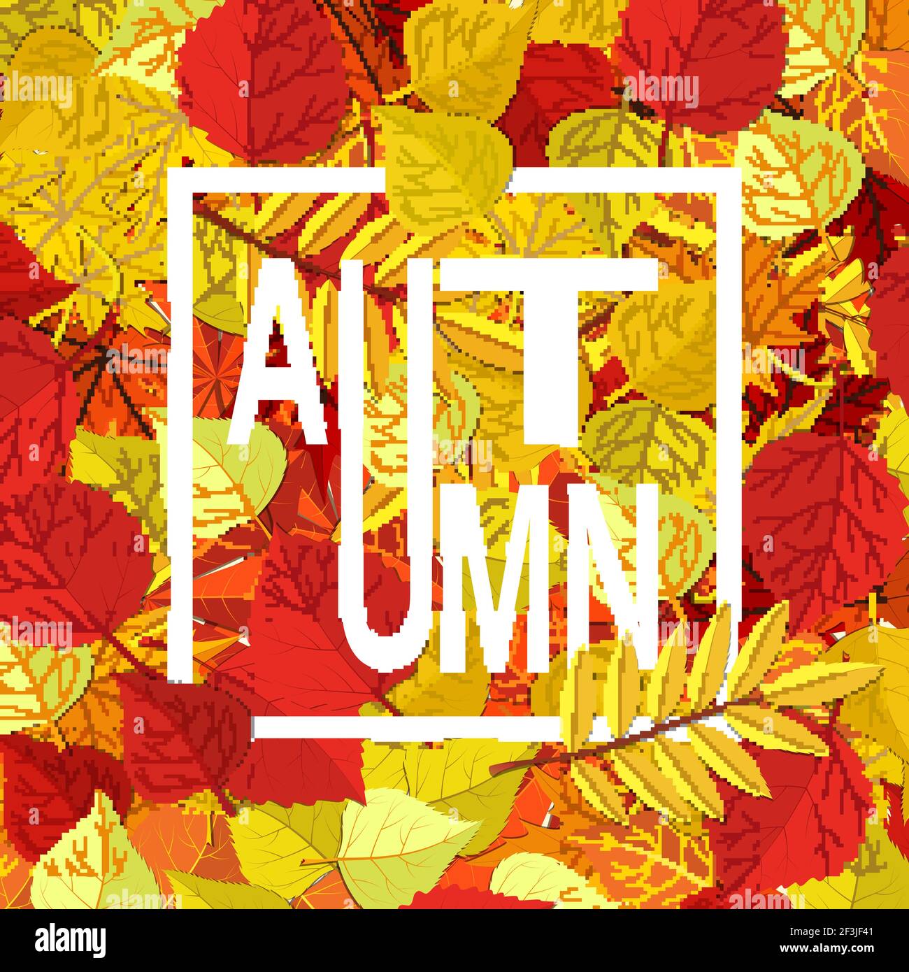 Autumn fall foliage coloring hi-res stock photography and images - Alamy