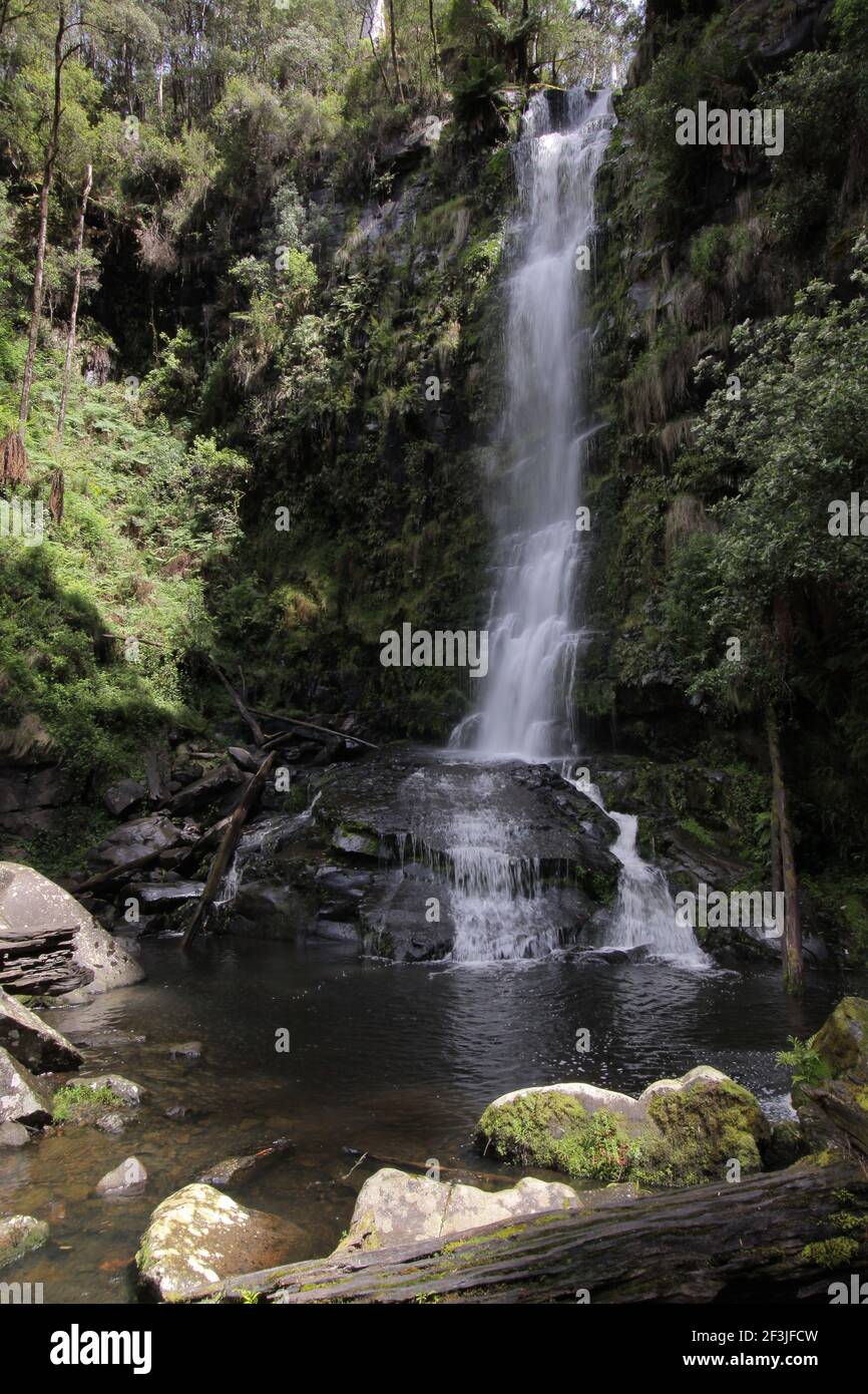 Hopetoun Falls in Victoria in Australia Stock Photo Alamy