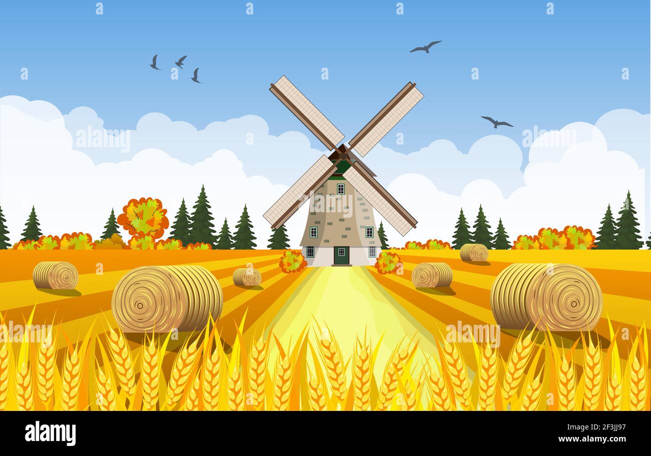 Countryside landscape with haystacks on fields Stock Vector Image & Art