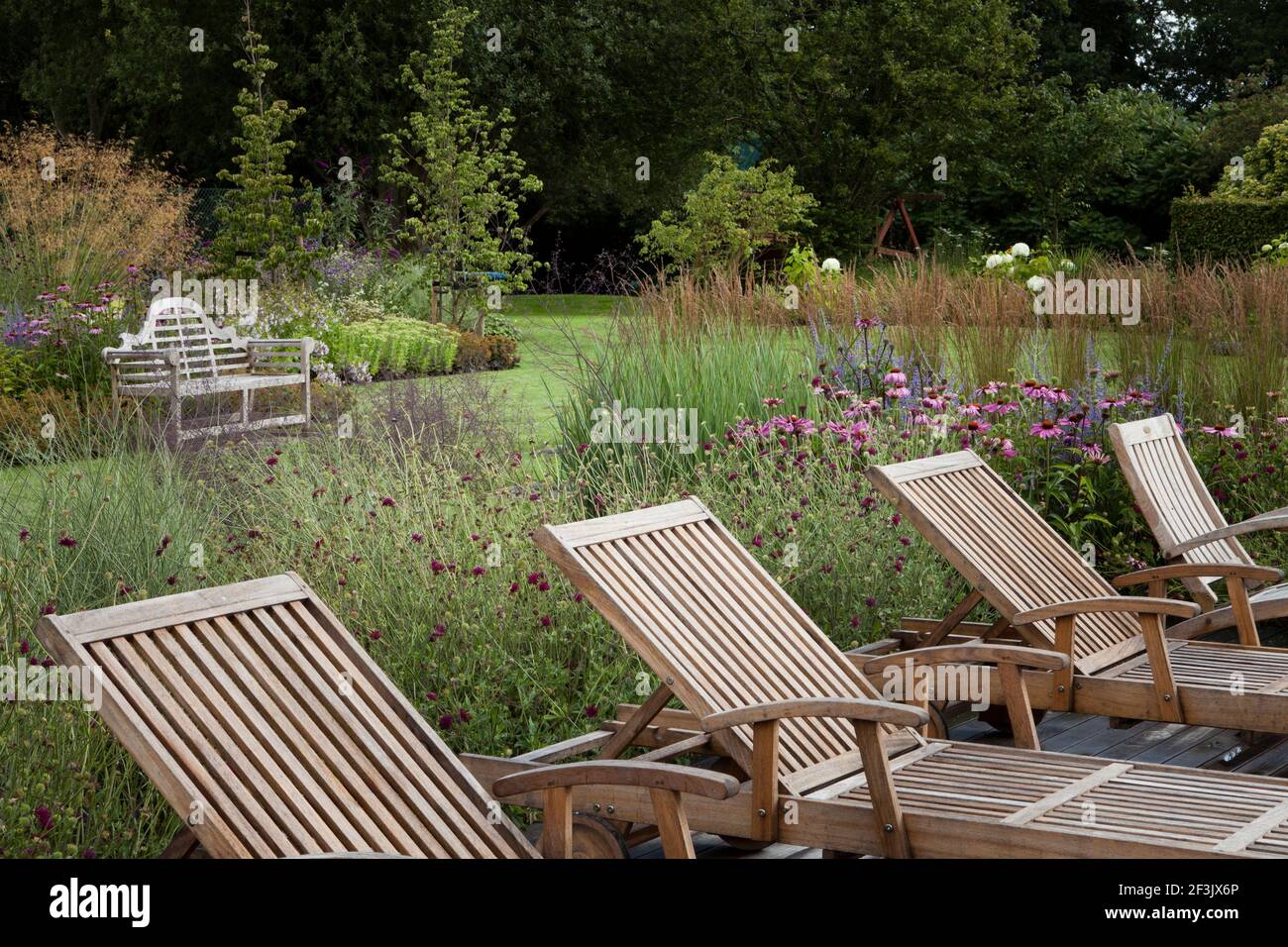 Modern teak loungers sit in a line on raised decking.  In the background the main lawn, a Lutyens bench and borders planted with Perovskia 'Blue Spire Stock Photo