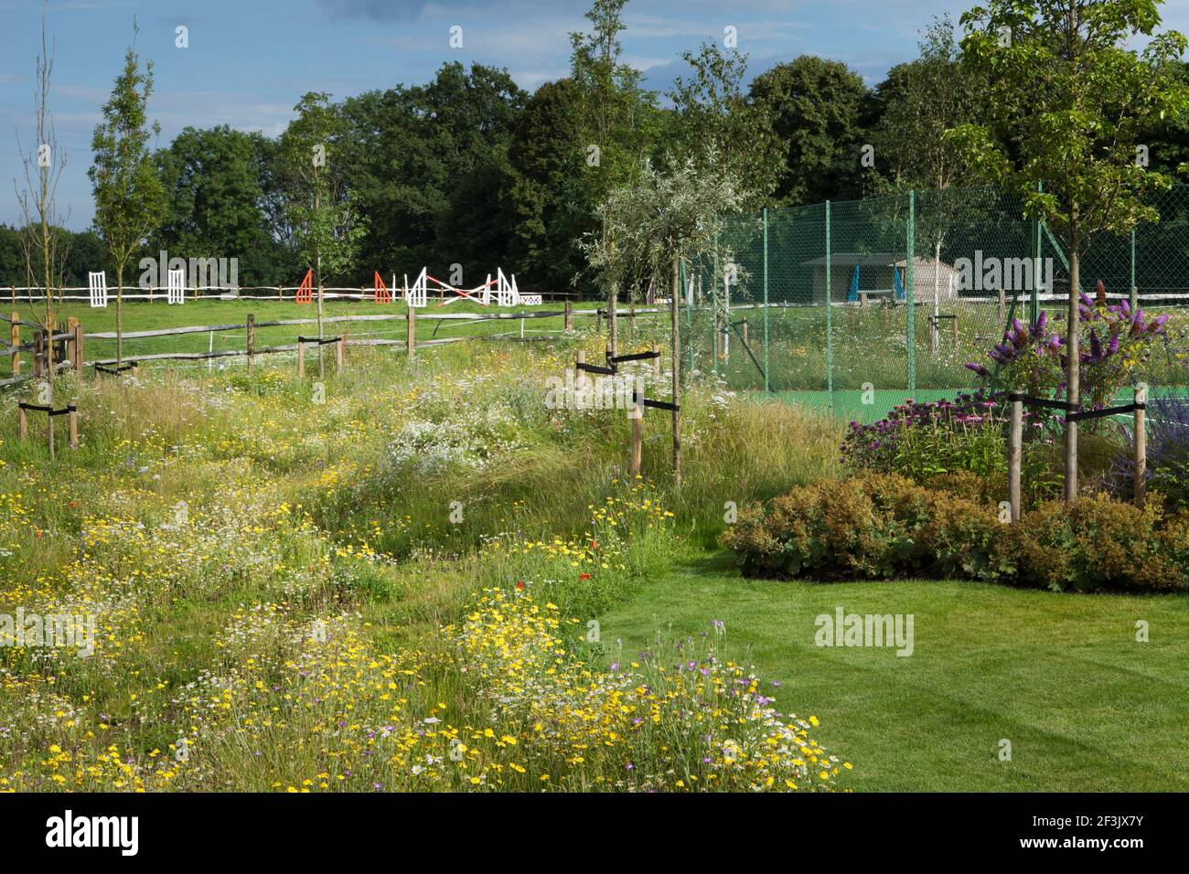 The wildflower meadow adjacent to the main lawn and tennis court with horse-jumping equipment in paddock beyond. Meadow planted with Agrostemma githag Stock Photo