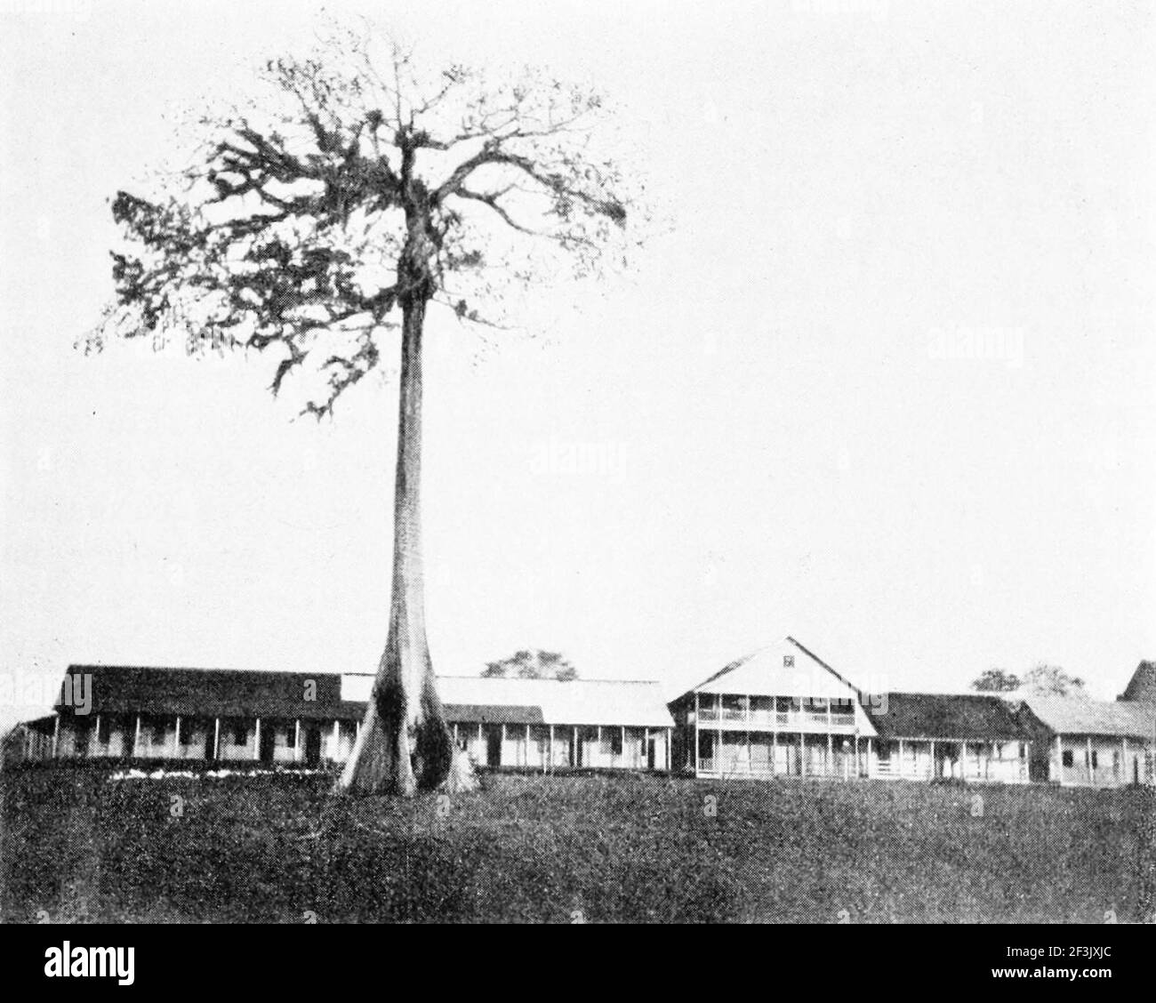 El rama hires stock photography and images Alamy