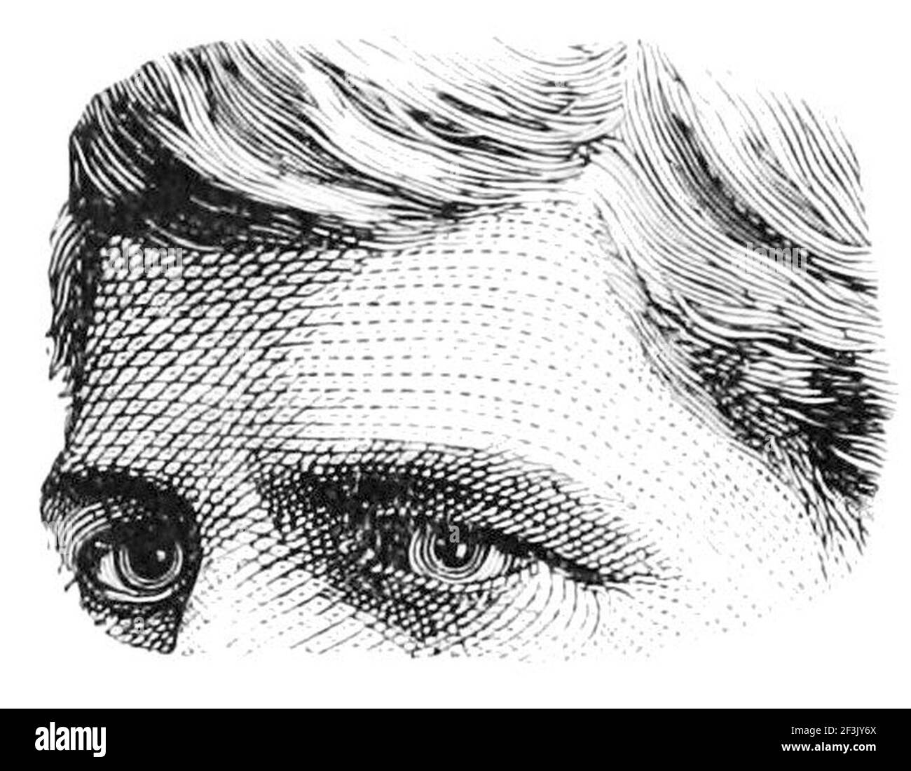 Line Engraving Examples Line engraving Black and White Stock Photos & Images - Alamy