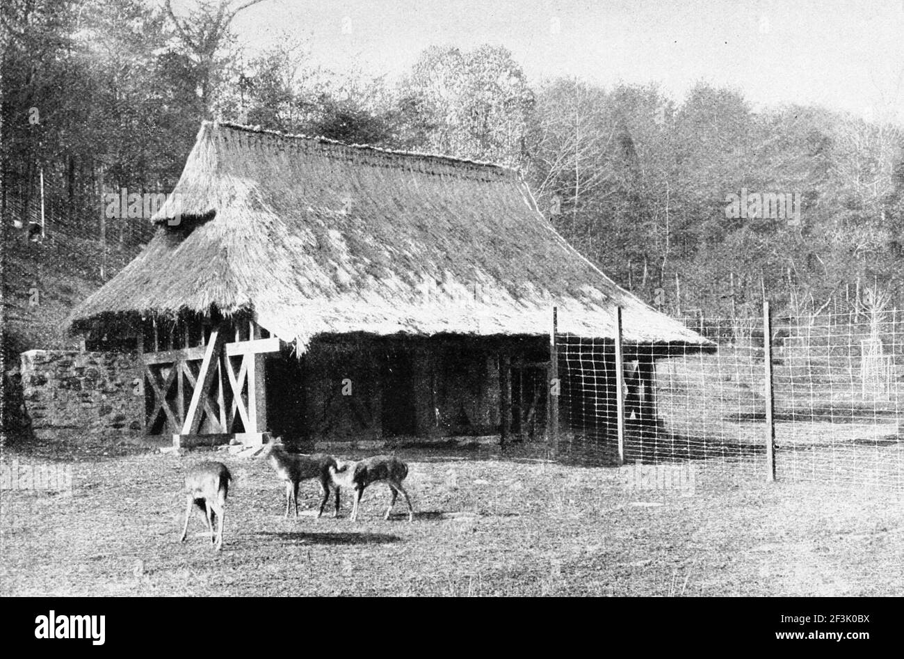 Deer house in the national zoological park. Stock Photo