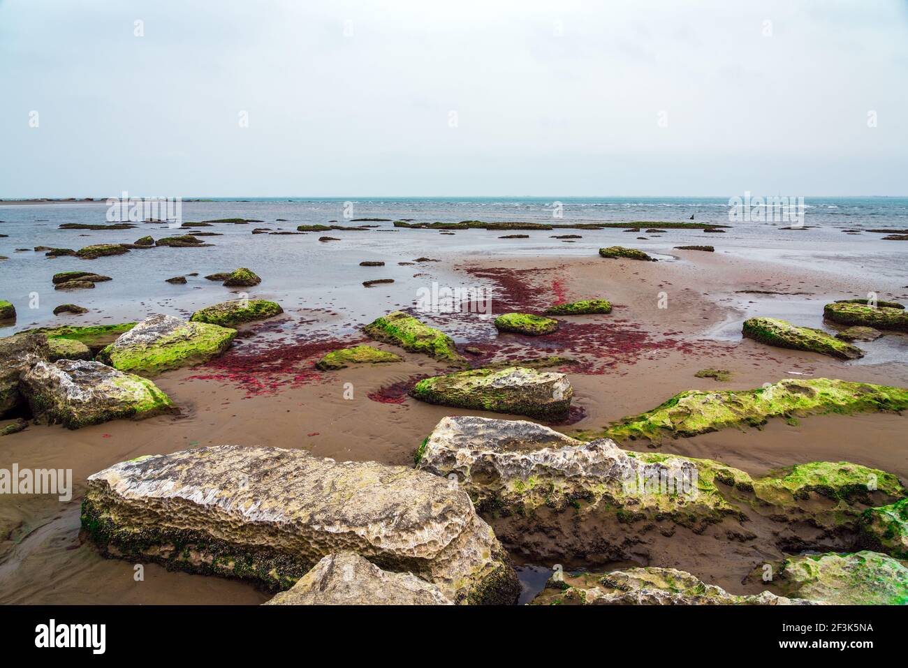 Ecological catastrophy. Drying shallow Caspian Sea Stock Photo
