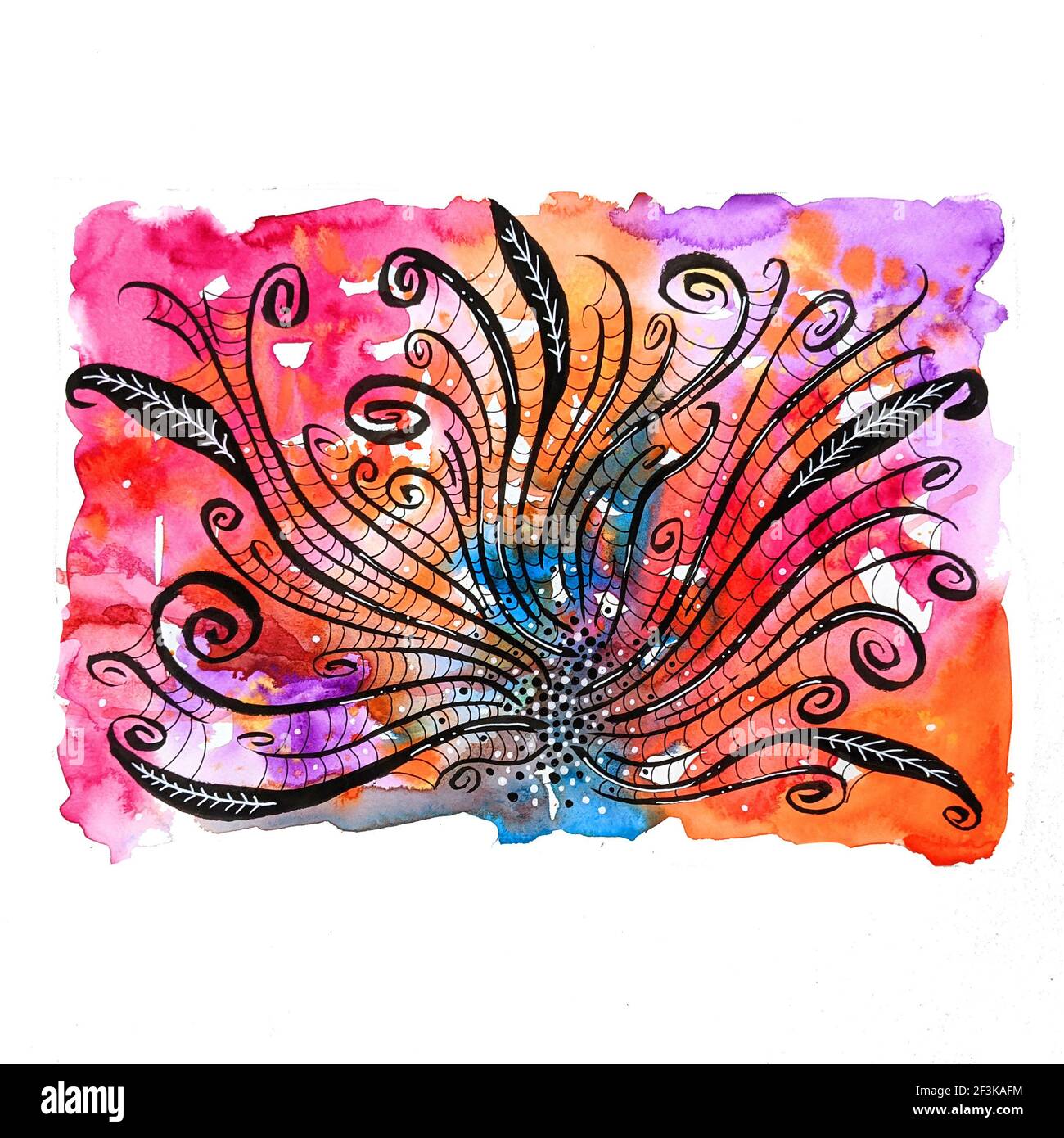Calligraphy Swirls High Resolution Stock Photography and Images - Alamy