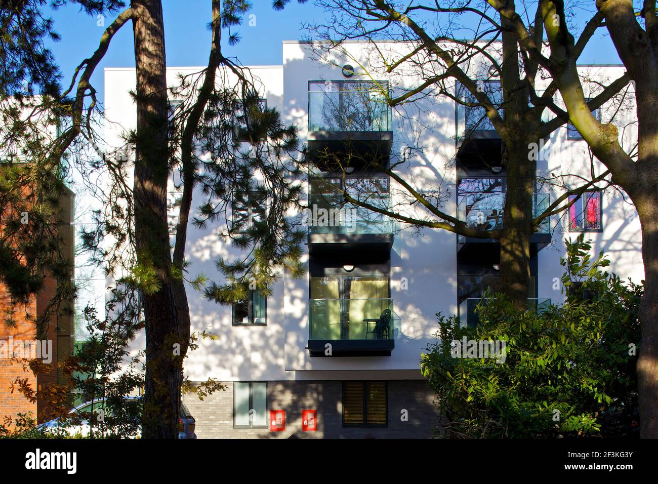 Trees Extra Care Housing, Highgate, London. The 'Trees' project is located within the Highgate Conservation area on a beautiful site with a mature exi Stock Photo