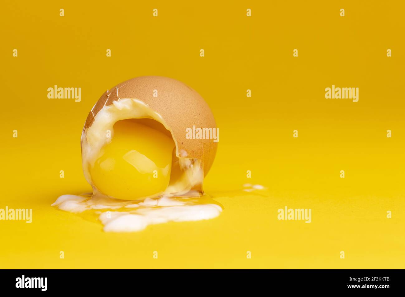 Yoke out of broken shell of soft cooked egg with the slimy white spilling over a seamless yellow background. Stock Photo
