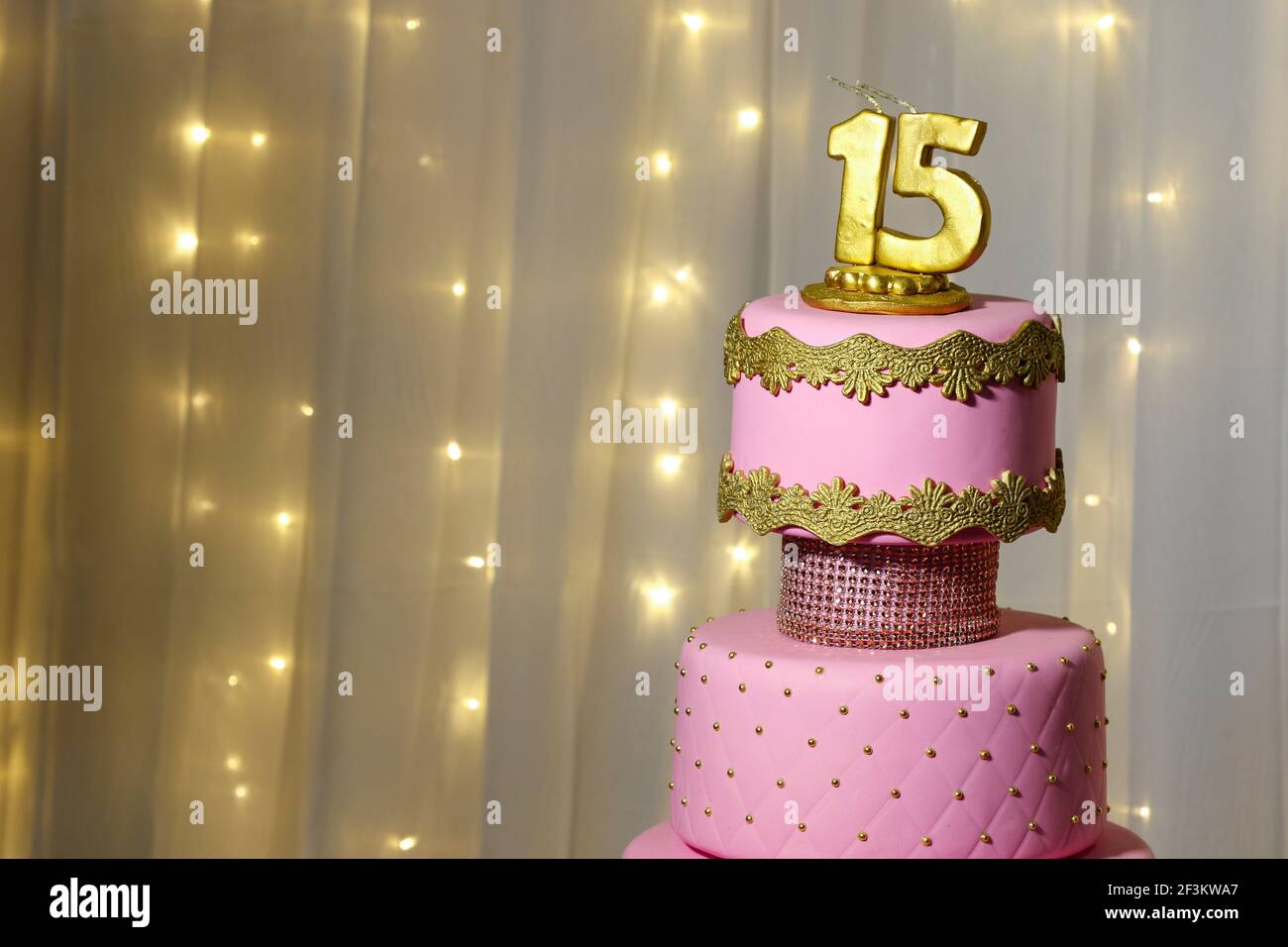 Happy birthday cake card 15 fifteen year party Vector Image