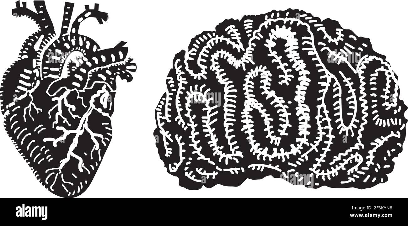 Human heart and brain Stock Vector Image & Art - Alamy