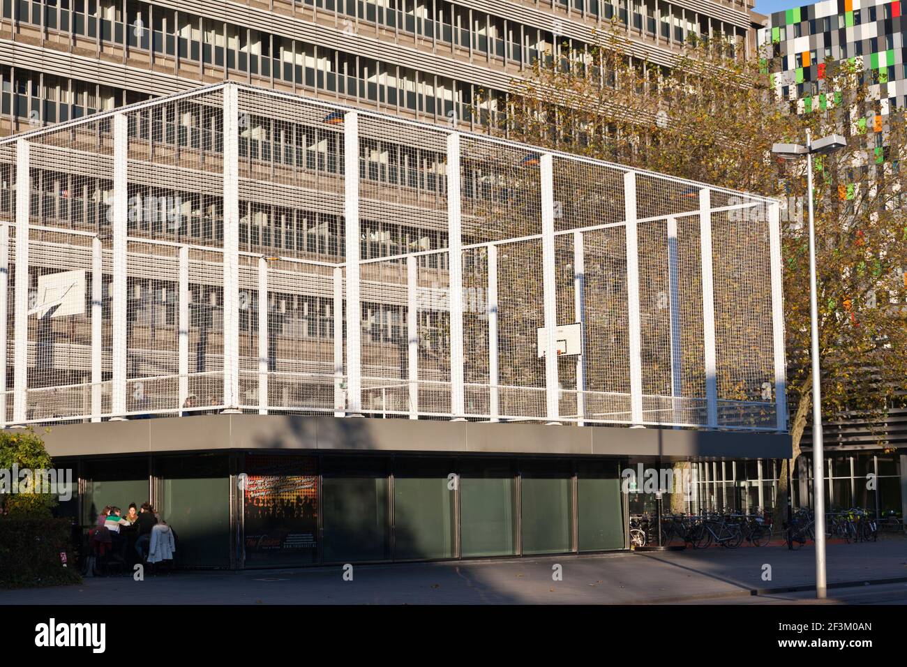 'The Basket', a trendy cafe for students, has a basketball court on top