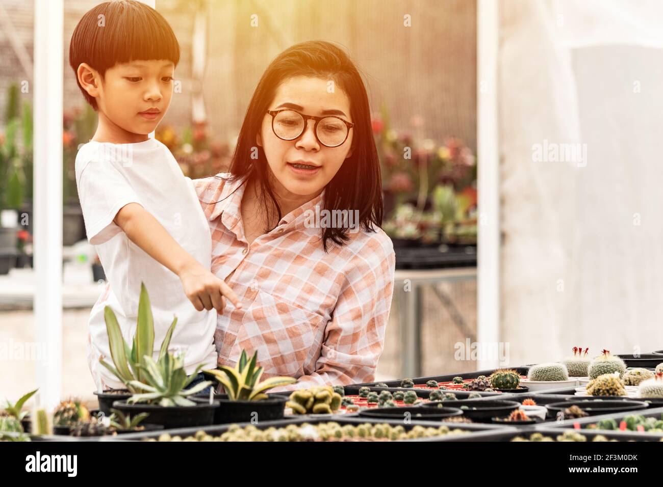 An Asian mother and son happily chose and bought the cactus on the Cactus Farm. Season of planting trees. Authentic Asian family. Stock Photo