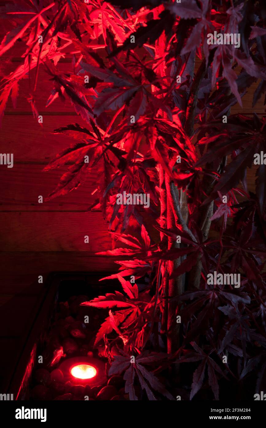 Soul Bar, Aberdeen, Scotland Stock Photo Alamy