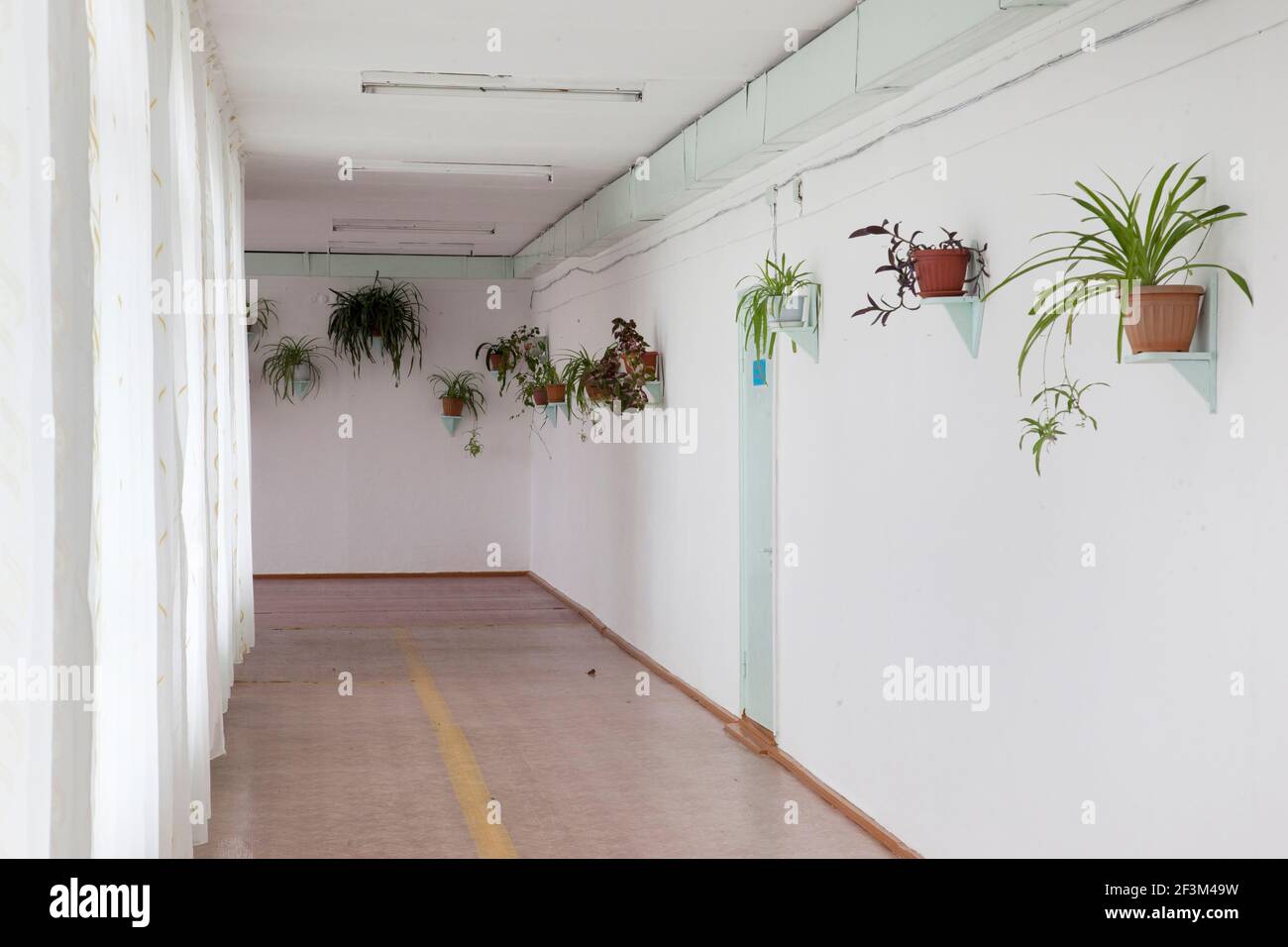 School plants hi-res stock photography and images - Alamy