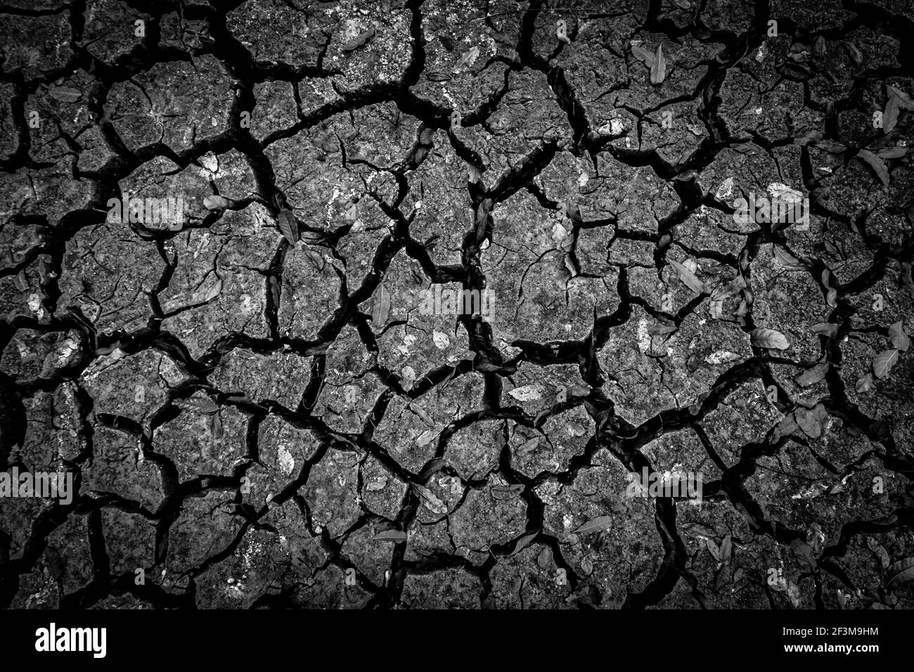 The dark ground is dried and cracks background. The black soil dry land