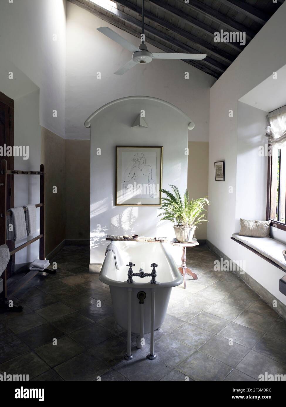 Modern bathroom with stand alone bath tub with feature wall and plant