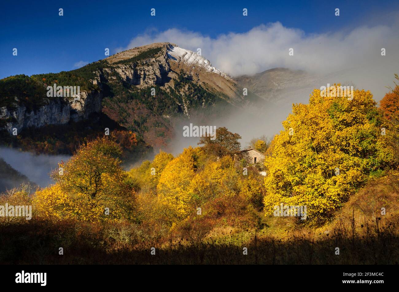 Puig de Terrers (Cadí), seen from Dou del Bastareny with the first autumn snowfall (Berguedà, Catalonia, Spain, Pyrenees) Stock Photo